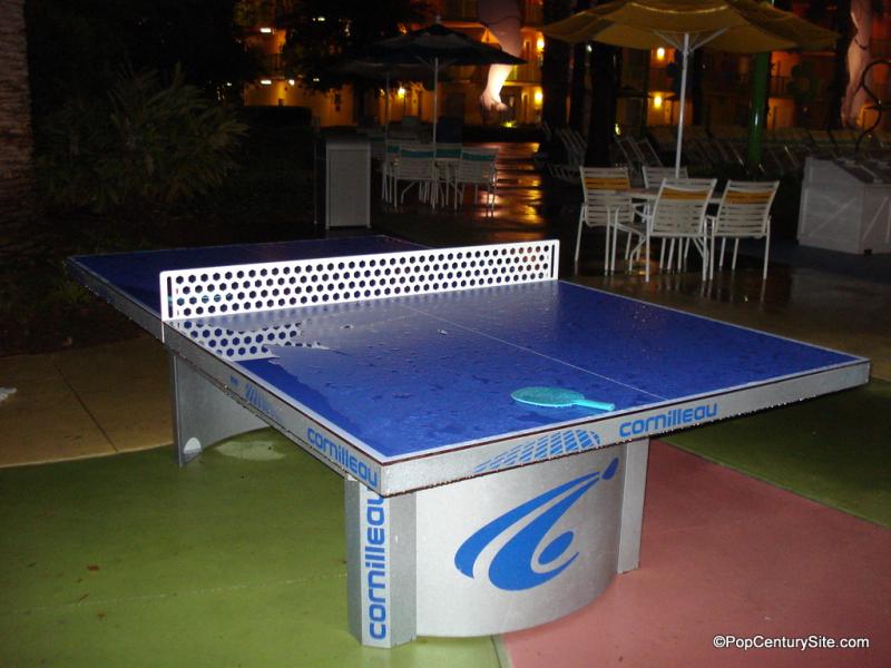 Ping Pong Table
